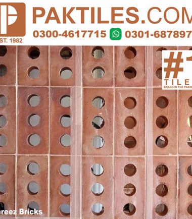Hollow Bricks Wall Tiles Design in Pakistan